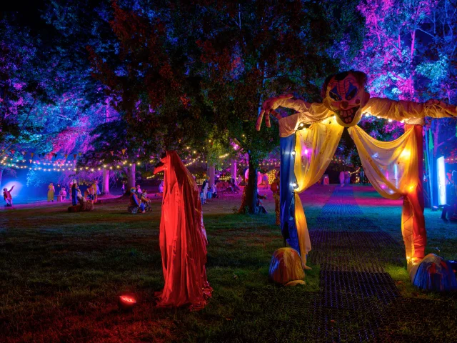 Castel Novel Hallowen