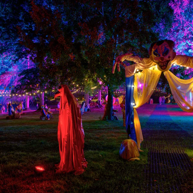Castel Novel Hallowen