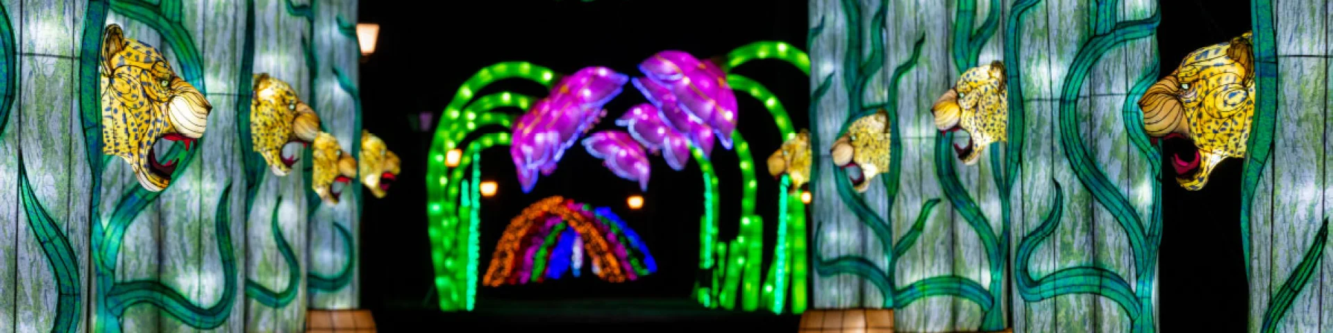 Festival Des Lanternes