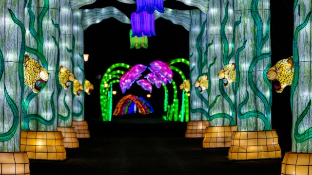 Festival Des Lanternes