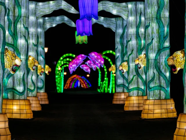 Festival Des Lanternes