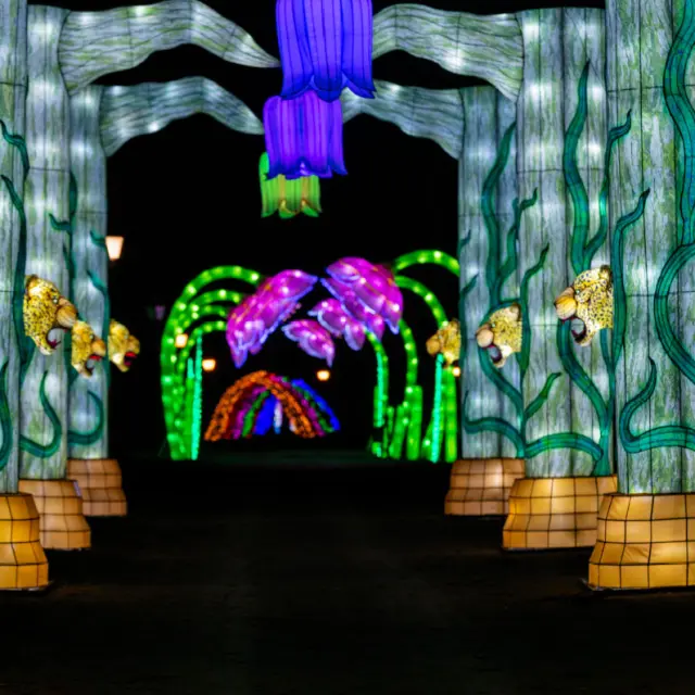 Festival Des Lanternes