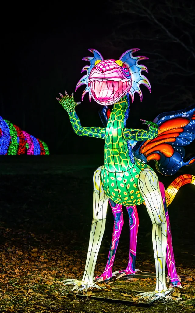 Festival Des Lanternes 2