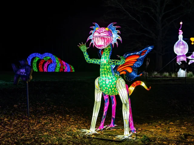 Festival Des Lanternes 2