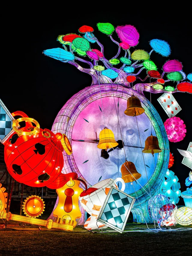 Festival Des Lanternes De Castel Novel