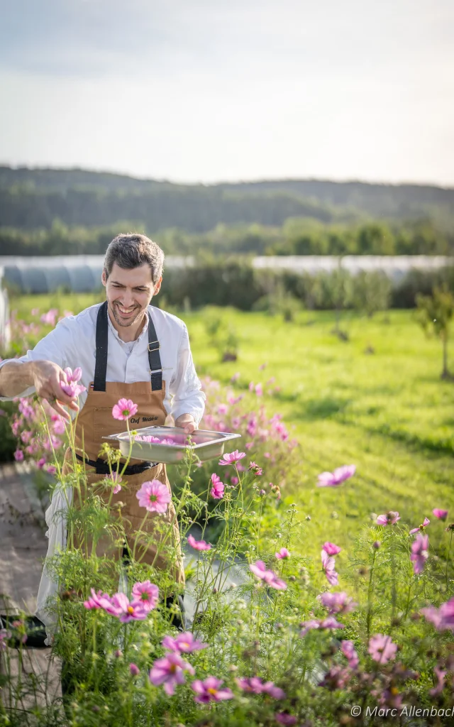 Recole Directe Des Jardins De La Paysanne Rit Pour Le Diner