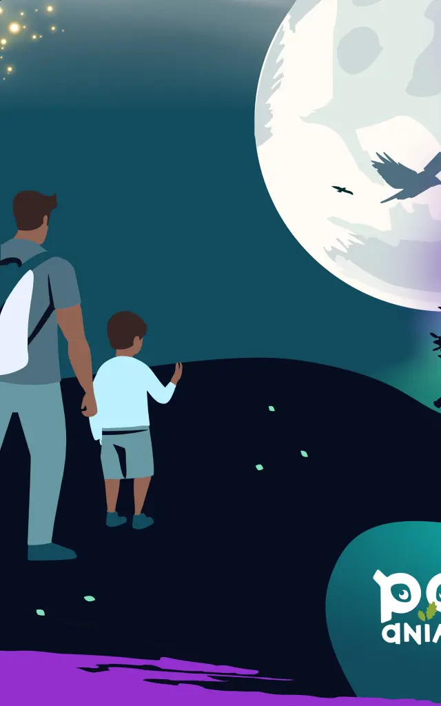 Visions nocturnes 2025 - parc animalier de Gramat