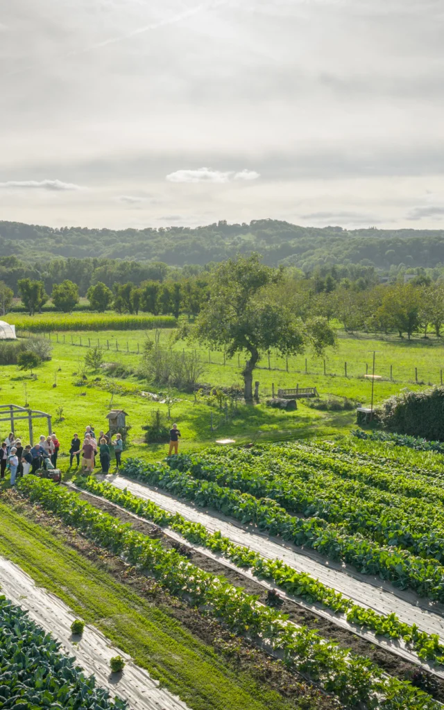 Visite Des Jardins Vue Drone