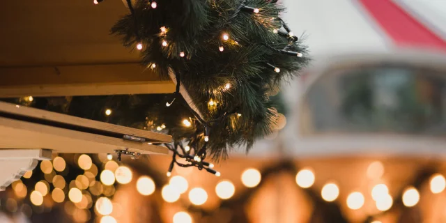 Noel Tiard Vsixvofa1c4 Unsplash