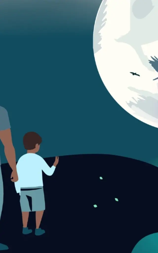 Vision Nocturne Parc De Gramat