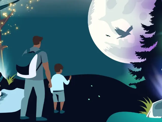 Vision Nocturne Parc De Gramat