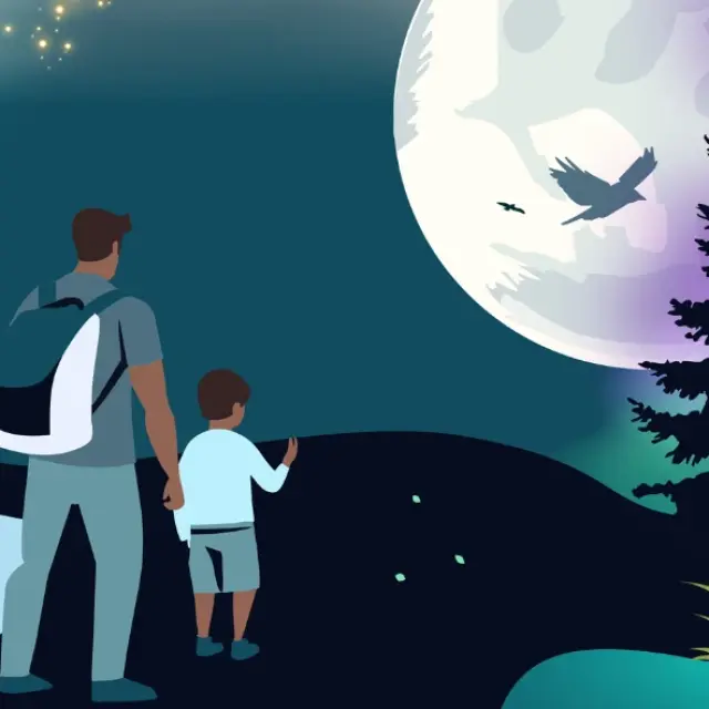 Vision Nocturne Parc De Gramat