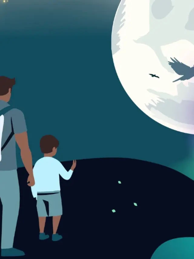 Vision Nocturne Parc De Gramat