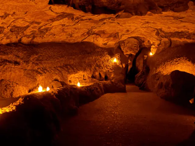 Visite Aux Origines Lascaux Ii