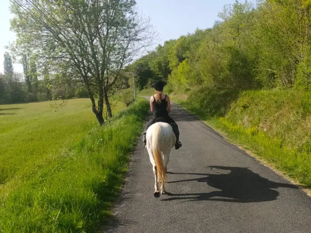 Randonnée à cheval