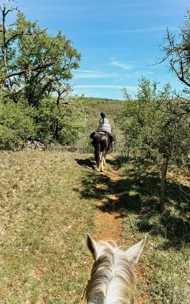 Randonnée sur le Causse