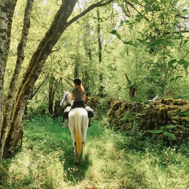 Randonnée à cheval dans le Lot