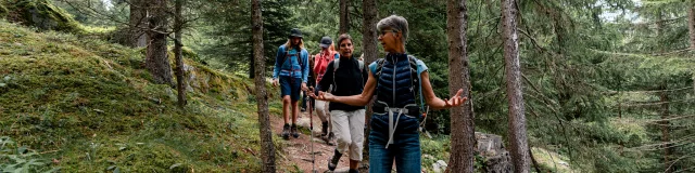 Tours accompagnés dans la région de Verbier