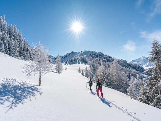Sortie en ski de randonnée sur le parcours Moay - La Pasay