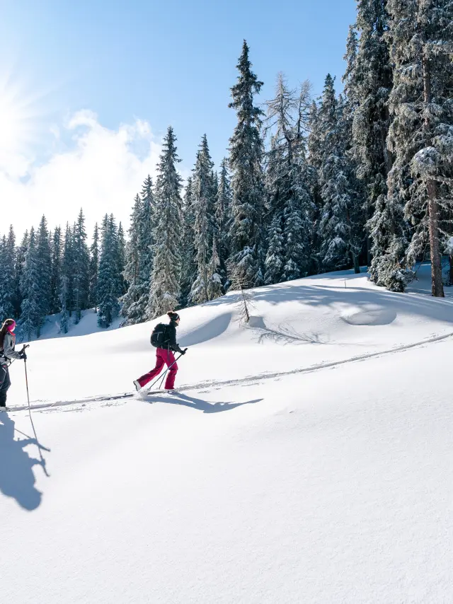 Ski de randonnée dans la région de Verbier