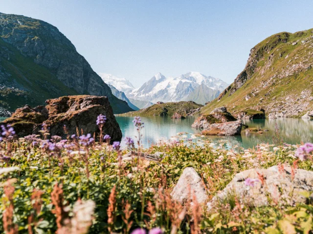 Randonnée de Fionnay à Louvie, tour du lac et passage aux écuries 