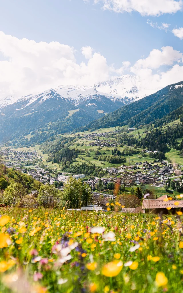 Val de Bagnes