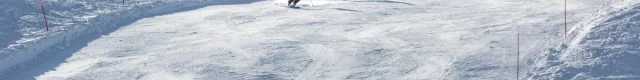 Ski de piste à Bruson