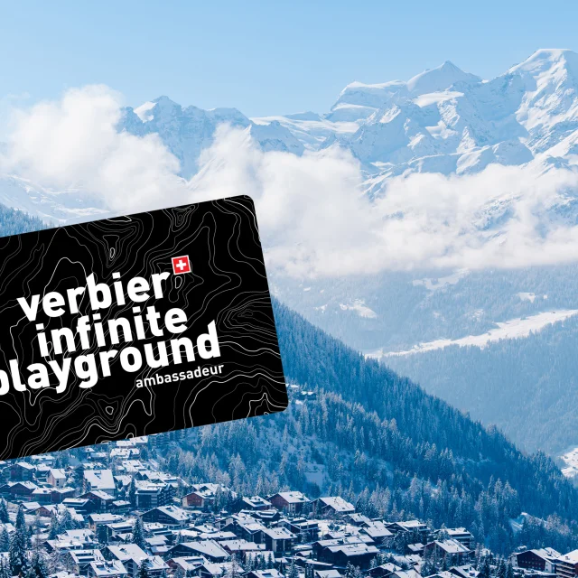 Vip Pass Amabassadeur 2