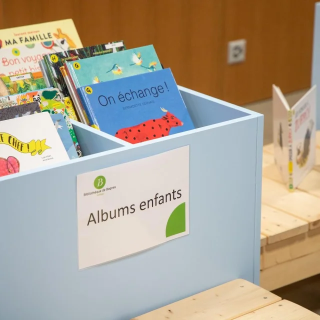 Bibliotheque De Volleges