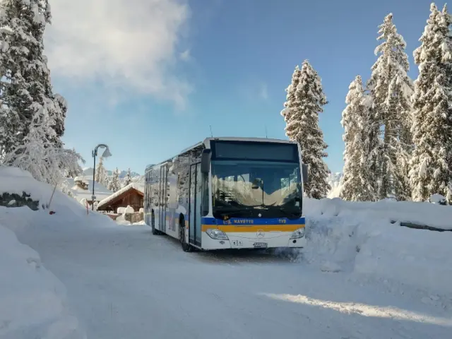Bus