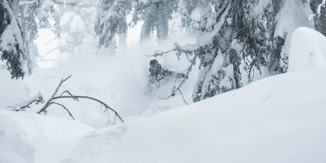 Bruson Tree Skiing 2