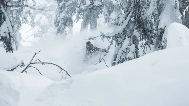 Bruson Tree Skiing 2