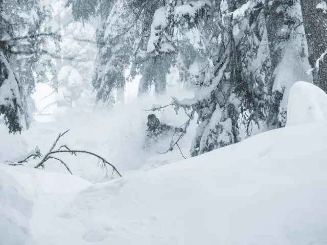 Bruson Tree Skiing 2