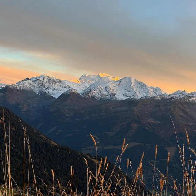 Instagram #verbier