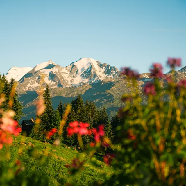 13.07.2024@luciaharrison 7