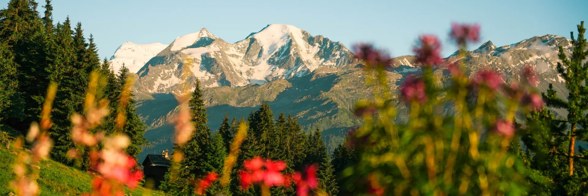 13.07.2024@luciaharrison 7