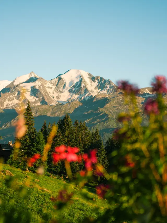 Verbier en été @luciaharrison