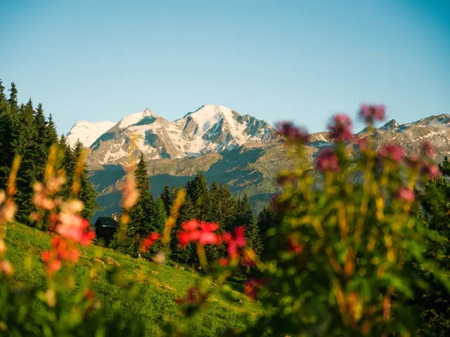 13.07.2024@luciaharrison 7