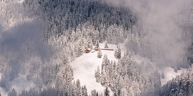 Dsc09504 @raphaelsurmont 091221 Web