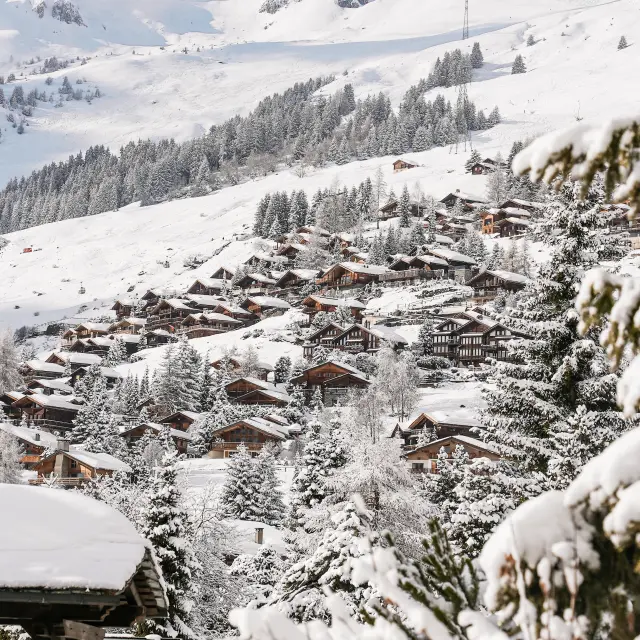 14.02.2025@luciaharrison 122