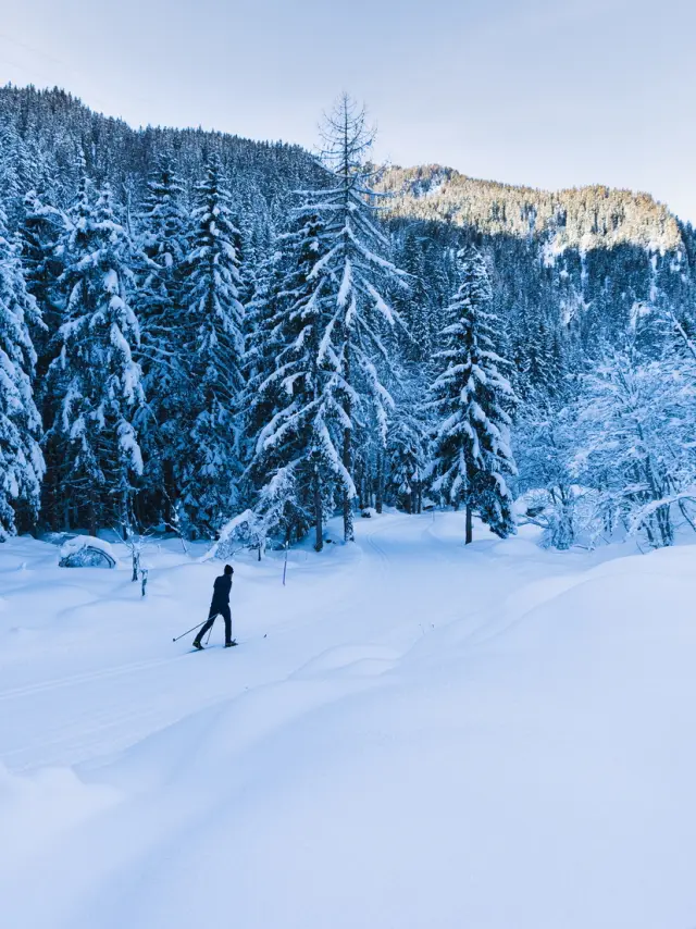 Ski de fond @raphaelsurmont