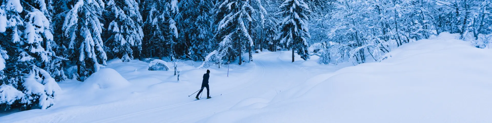 Ski de fond @raphaelsurmont