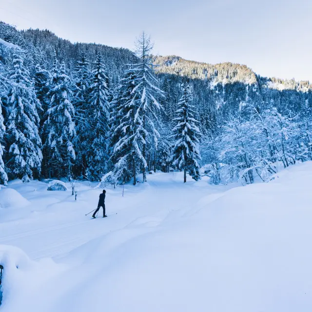 Ski de fond @raphaelsurmont