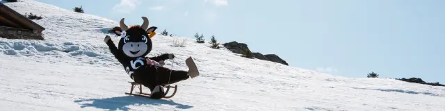 Suzette @luciaharrison