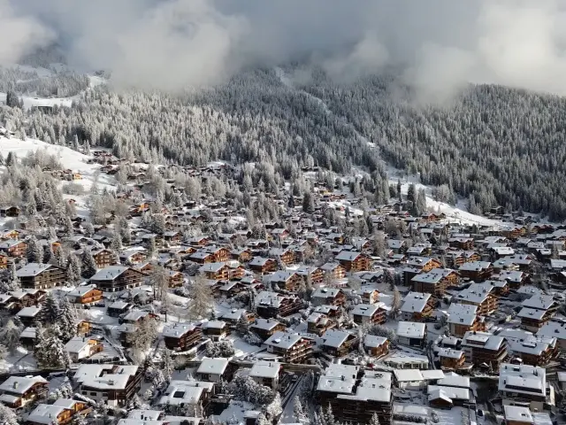 Poster Header Stay Hiver