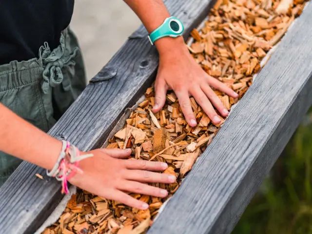 Bois @raphaelsurmont