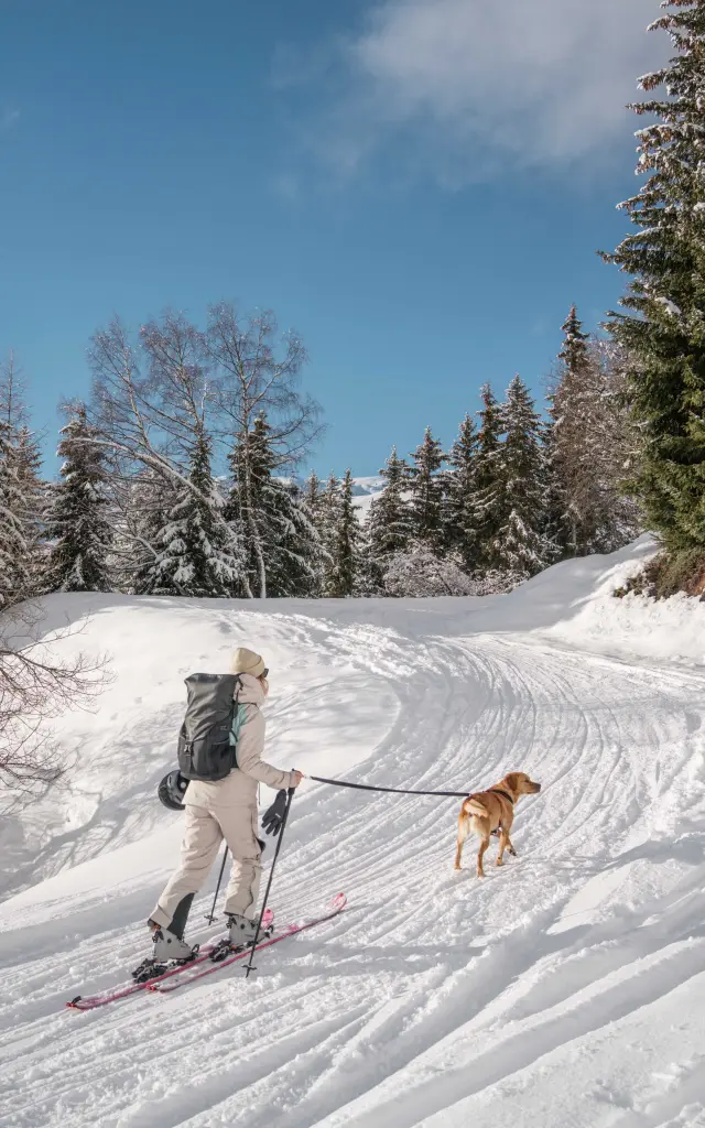 Promenade Avec Son Chien @luciaharrison