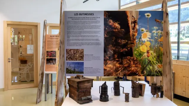 Centre De Competences En Apiculture 2