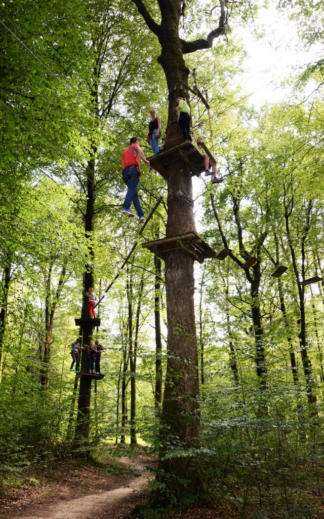 accrobranche-bagnoles-orne-10