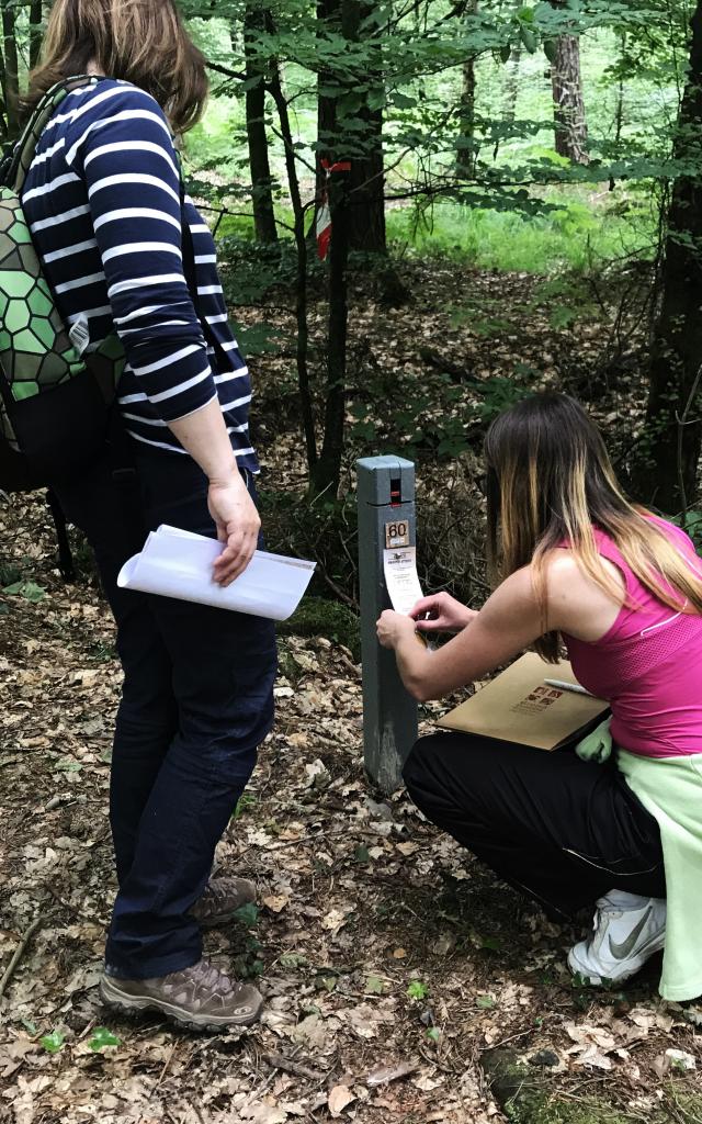 Bagnoles Orne Chasse Tresor Orientation Incentive Team Building Seminaire 7